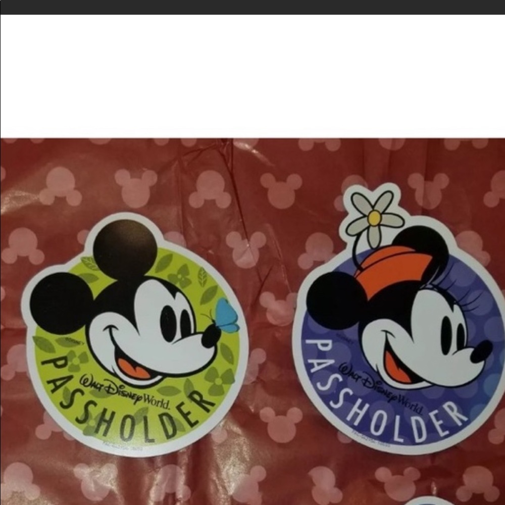 Disney Flowers and Garden passholder magnets